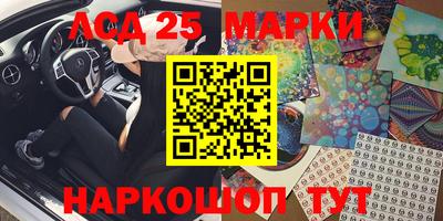 Альфа ПВП Малгобек