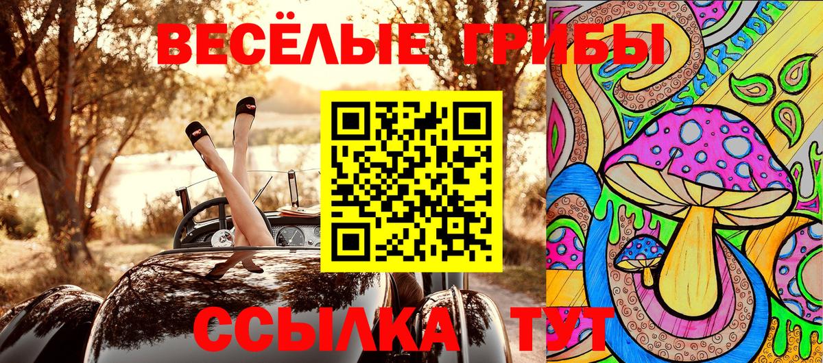 Псилоцибиновые грибы Magic Shrooms  Псилоцибиновые грибы Magic Shrooms  Вход с VPN  Рассказово 